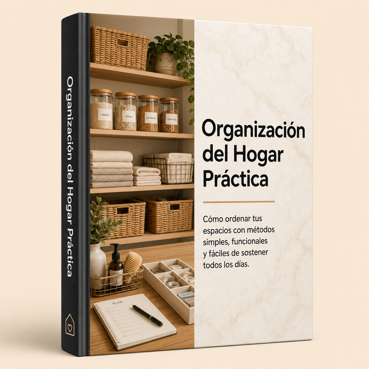Organizacion del Hogar Practica